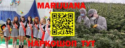 гидра Ярославль