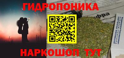 гидра Ярославль