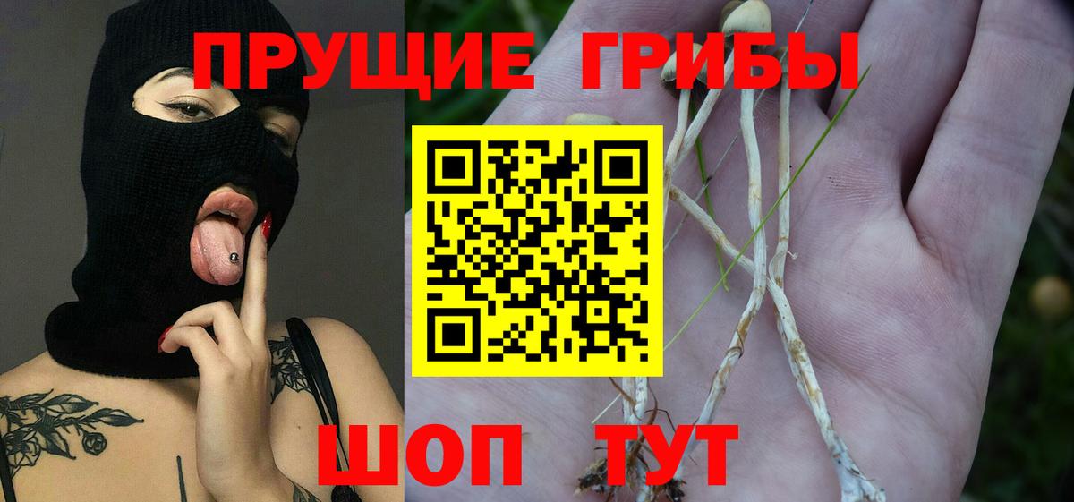 Псилоцибиновые грибы мухоморы  Галлюциногенные грибы мицелий  как найти закладки  Воткинск  Вход с VPN 